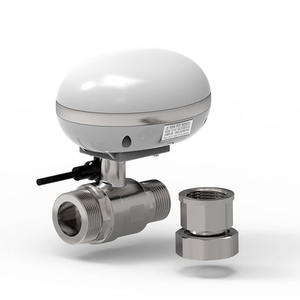 1 -дюймовый умный таймер воды для орошения